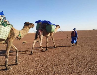 desert camel trekking for 8 days, Erg Chegaga Tour