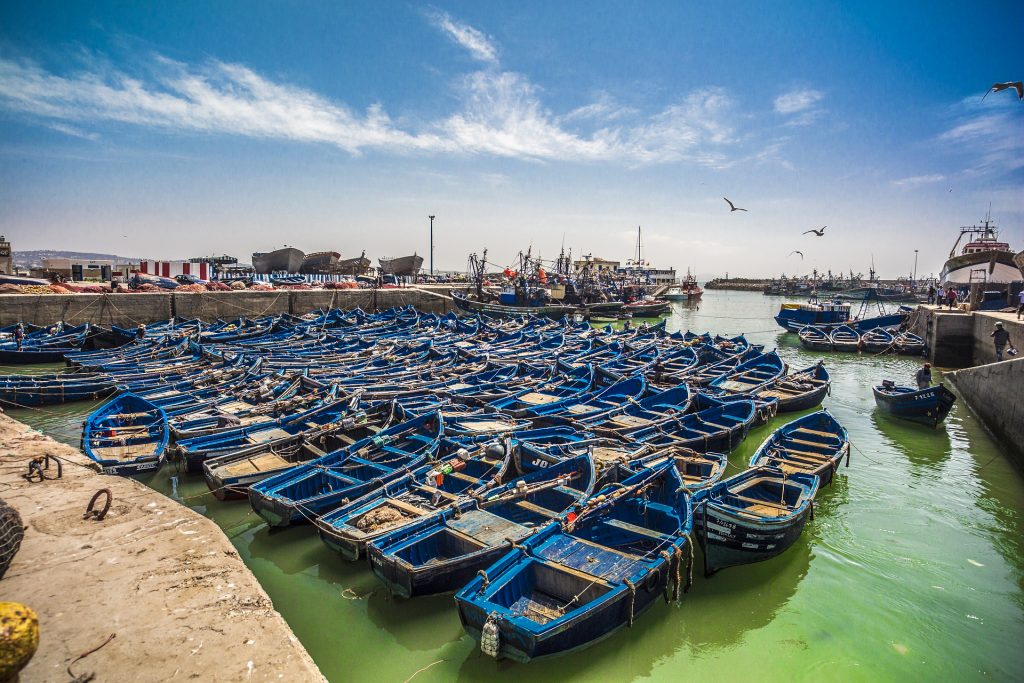 day trip to essaouira from agadir