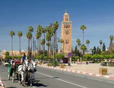 Excursion to Marrakech from El Jadida