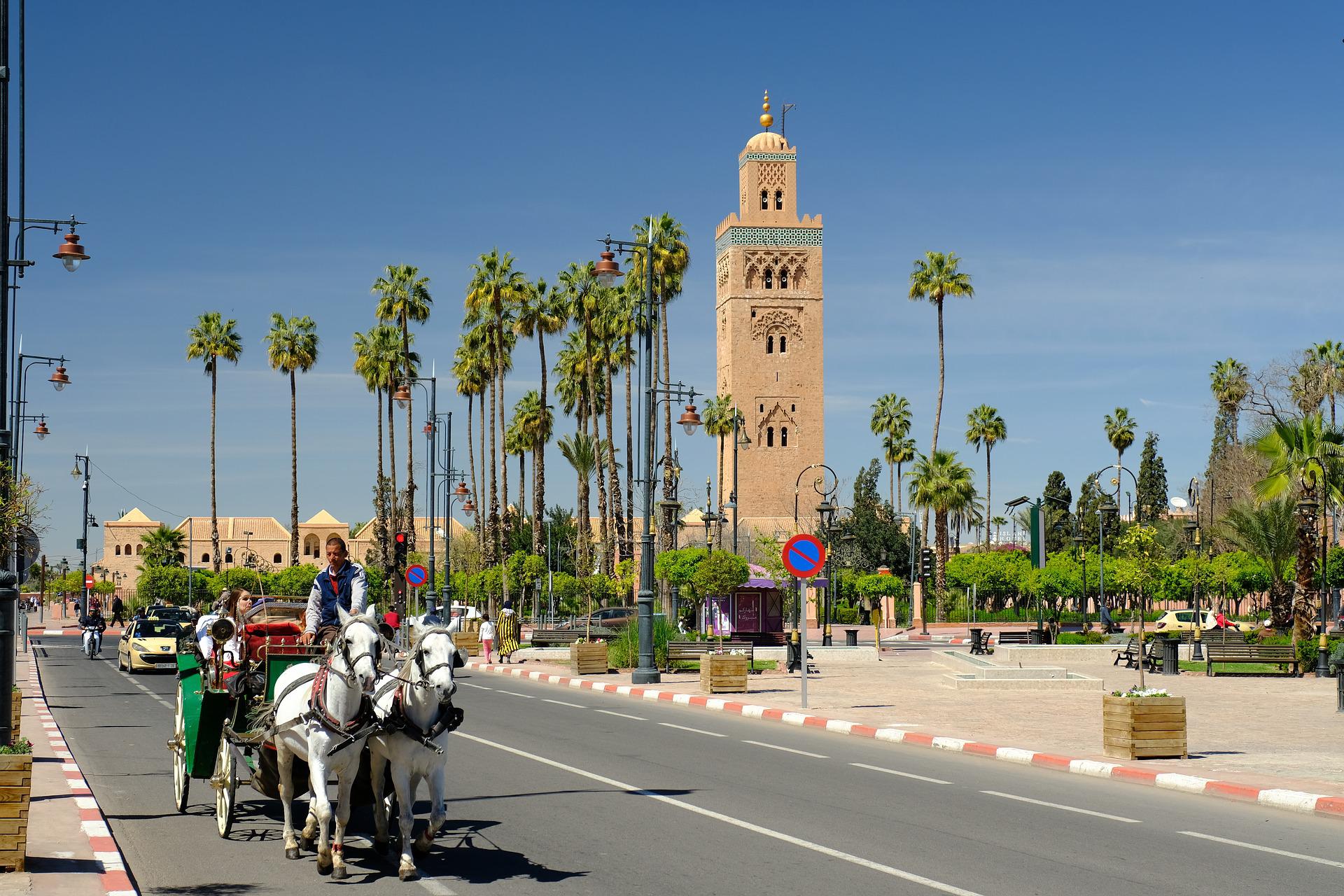 Excursion from Casablanca to Marrakech Sahara Morocco Travel