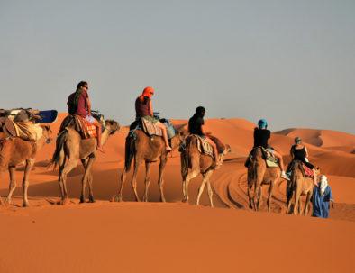 8 days Camel trekking from Marrrakech