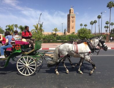 Tours from Marrakech