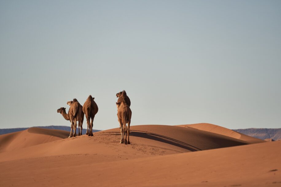 when is the best time to visit Morocco