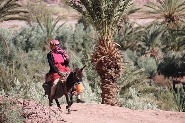 Who Are The Morocco Berbers?